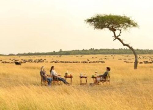 What Are the Best Safari Destinations in Kenya For 2023