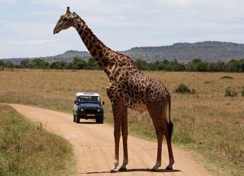 6 Days Kenya Luxury Safari