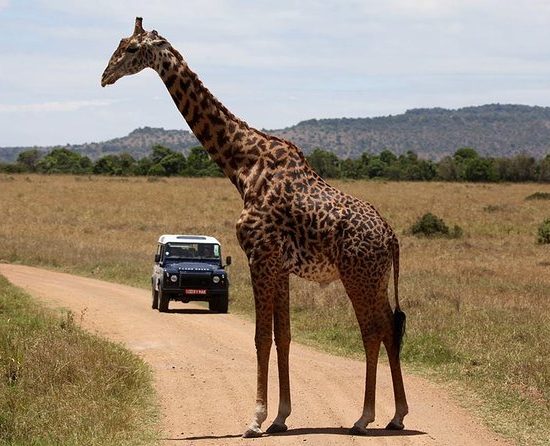 6 Days Kenya Luxury Safari