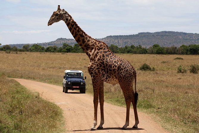 6 Days Kenya Luxury Safari