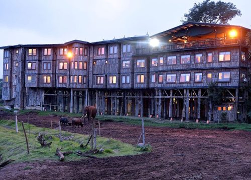 2 Nights Tree Tops Hotel/Aberdare Experience