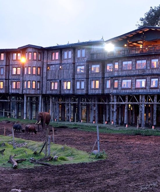 2 Nights Tree Tops Hotel/Aberdare Experience