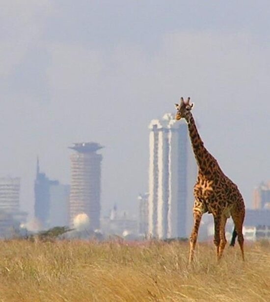 Nairobi Tour