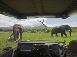 Top 5 Safari Kenya Luxury Packages