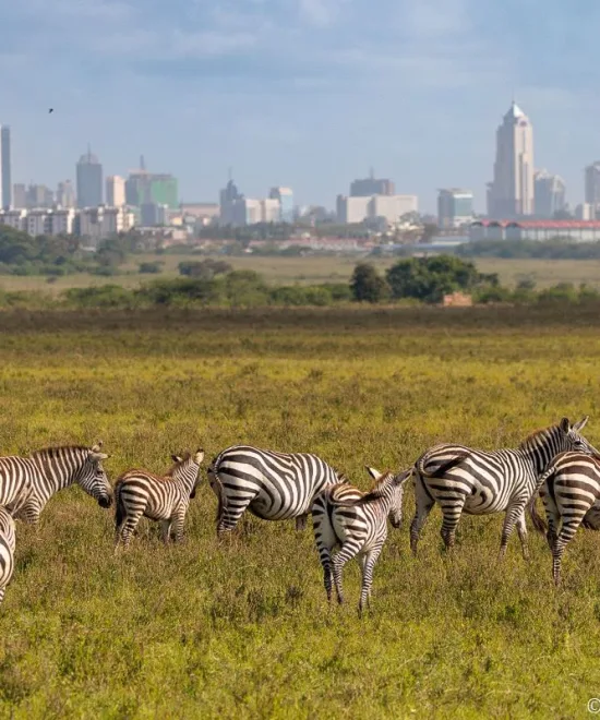 Nairobi City Tour