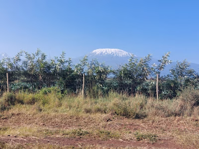 The Ultimate Guide to Safaris in Kenya and Tanzania: Top Destinations You Can't Miss 5 The Ultimate Guide to Safaris in Kenya and Tanzania: Top Destinations You Can’t Miss