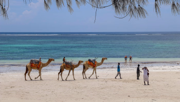 Diani Beach: Top Attractions, Activities, and Travel Guide to Kenya’s Coastal Paradise