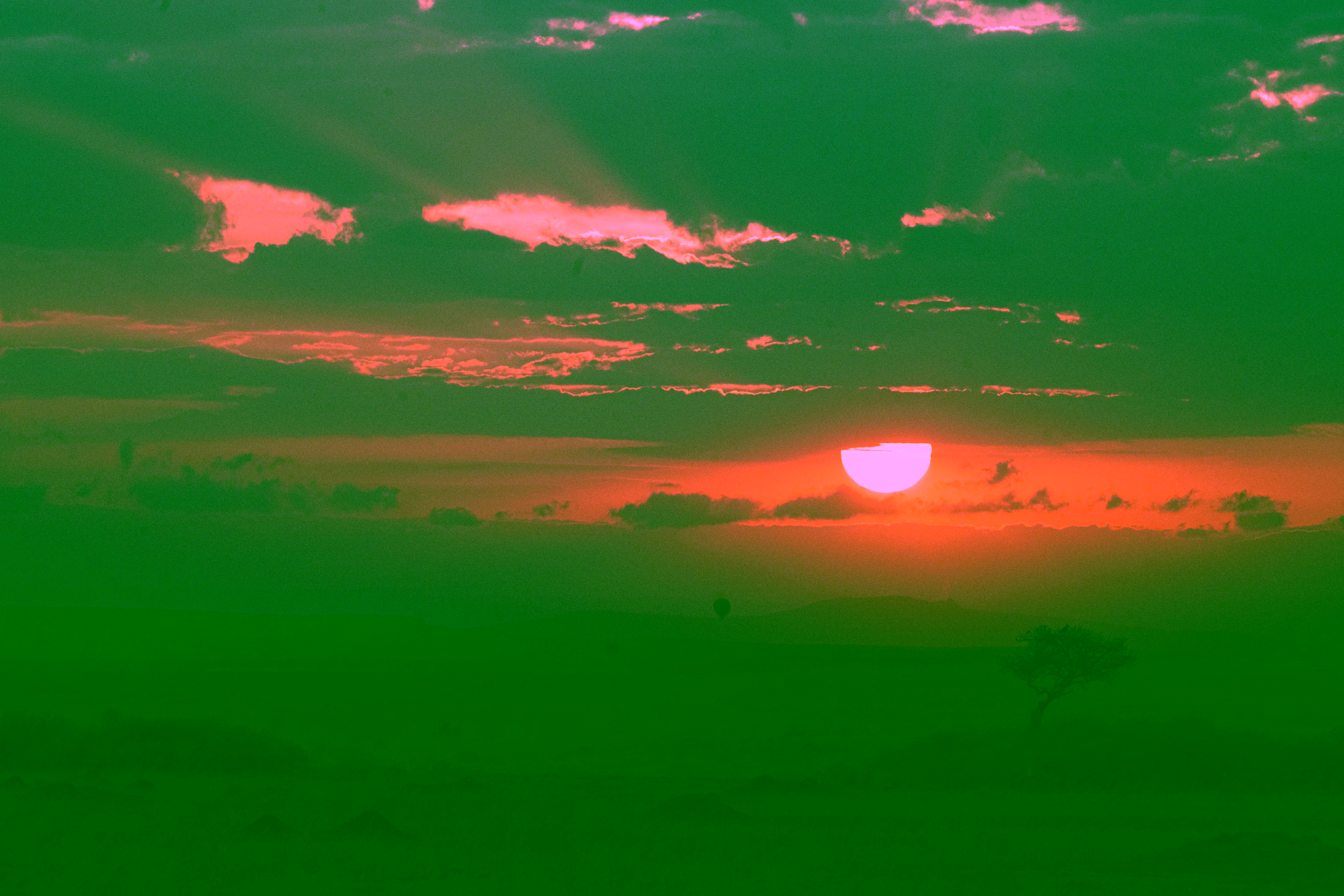 Kenya Sunset